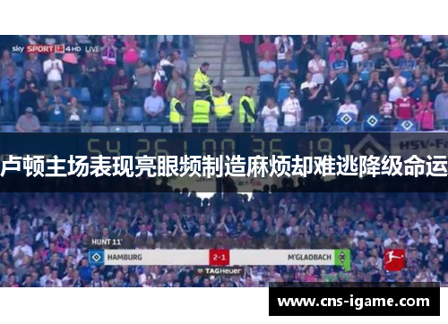 卢顿主场表现亮眼频制造麻烦却难逃降级命运 卢顿主场表现亮眼频制造麻烦却难逃降级命运